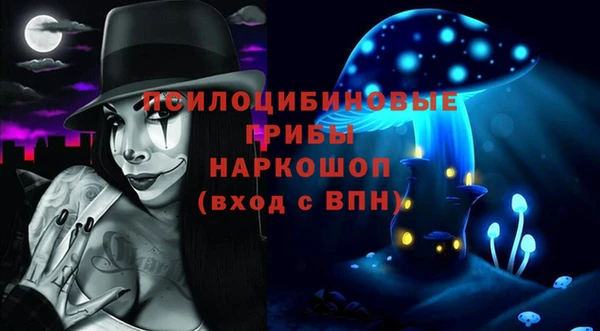 ПСИЛОЦИБИНОВЫЕ ГРИБЫ Алексин