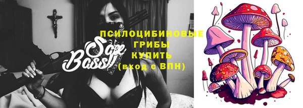ПСИЛОЦИБИНОВЫЕ ГРИБЫ Алексин