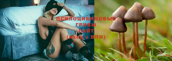 ПСИЛОЦИБИНОВЫЕ ГРИБЫ Алексин