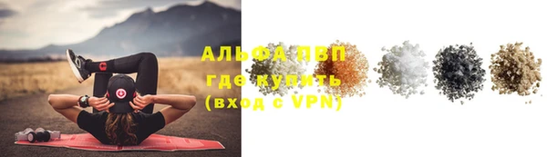 мяу мяу мука Алзамай