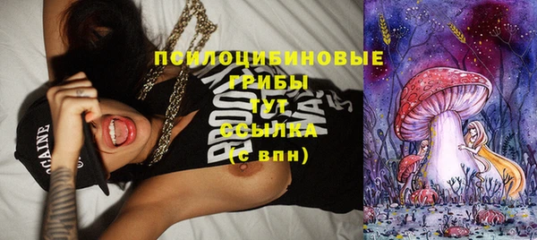 ПСИЛОЦИБИНОВЫЕ ГРИБЫ Алексин