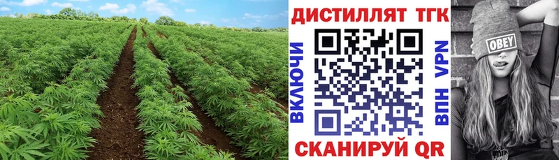 Дистиллят ТГК THC oil  ОМГ ОМГ зеркало  Шебекино 