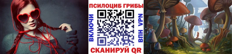 Псилоцибиновые грибы Psilocybine cubensis  Шебекино 