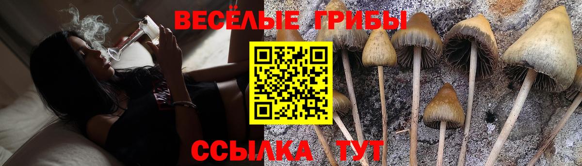 Псилоцибиновые грибы прущие грибы  Вход с VPN  Псилоцибиновые грибы Magic Shrooms  Шебекино 